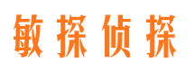 柳北私家侦探